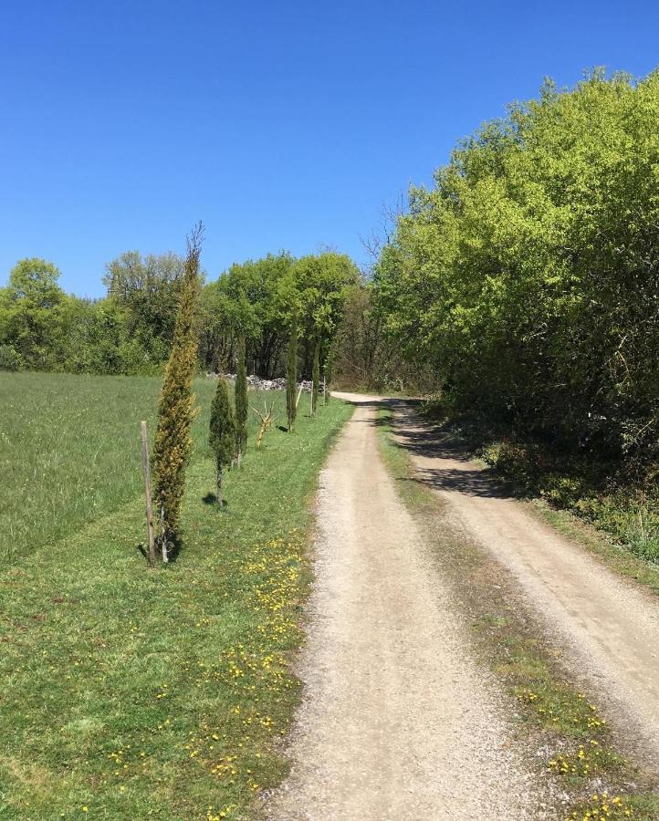 Les Gites Perard Caylus エクステリア 写真