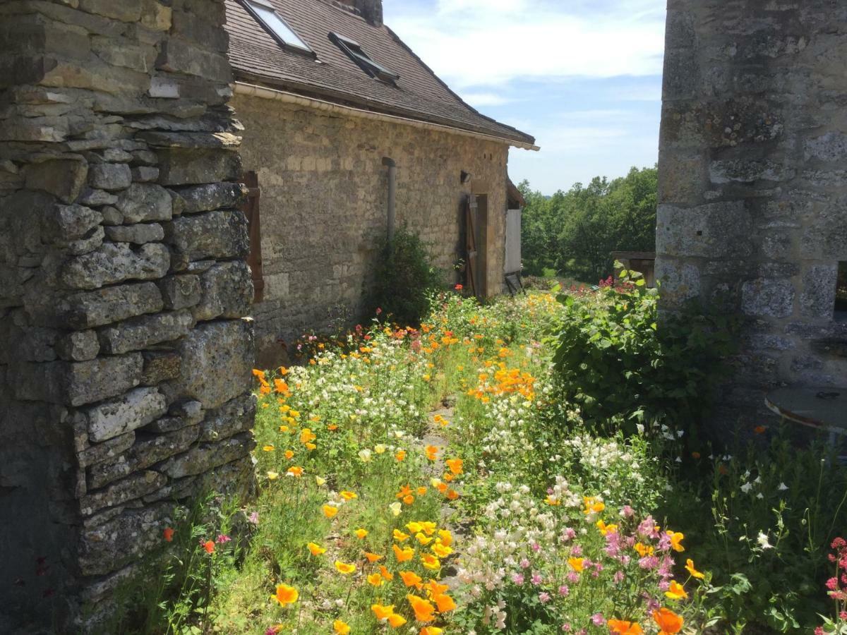 Les Gites Perard Caylus エクステリア 写真